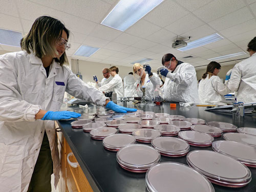 Food Microbiology lab