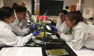 Students working in lab